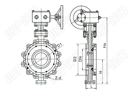 D373H、D373Y_美標(biāo)蝶閥_結(jié)構(gòu)圖